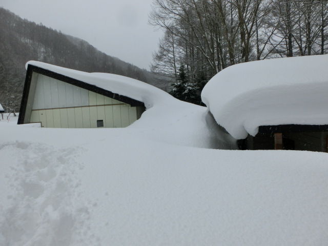030_20150122153346b01.jpg