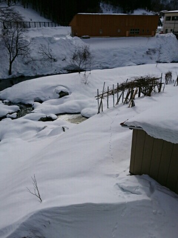 20180113_124155