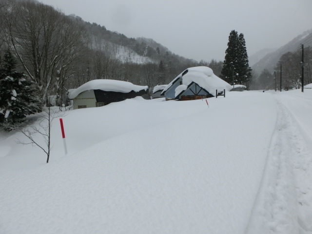 005_2015012214291721e.jpg