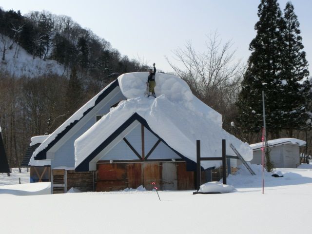 040.jpg