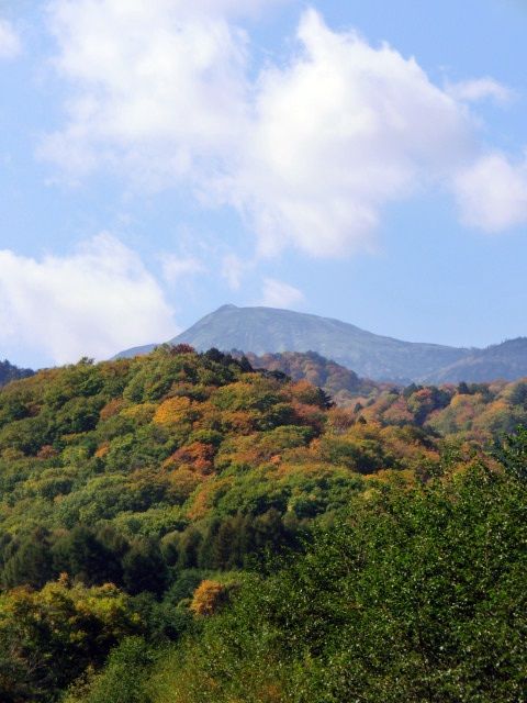 004_20151009134354d70.jpg