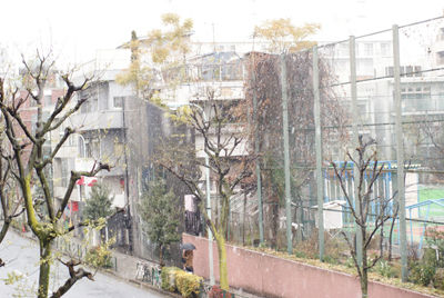 1月20日雪景色
