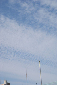 DSC00137
