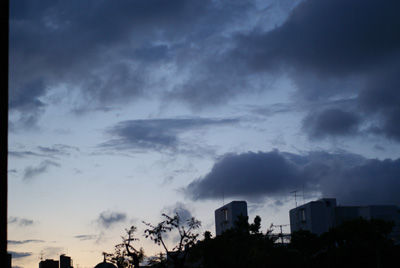 DSC09541