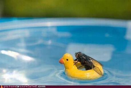wtf_pictures_18