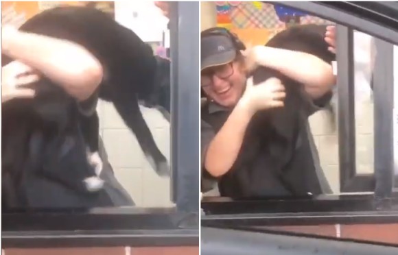 マクドナルドのドライブスルーで、車の窓を開けたら犬が店内に侵入しようと、店員に飛びついた！