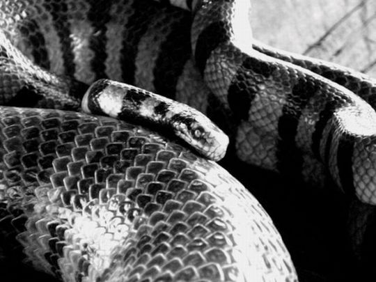 the_most_dangerous_640_15