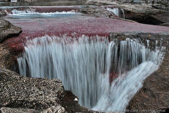 rainbow_river_14