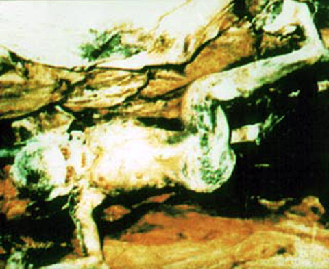 tyupakabu4