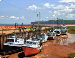【動画】潮の干満差世界一、ファンディ湾の潮の干満の様子を早回しで（北アメリカ大陸）