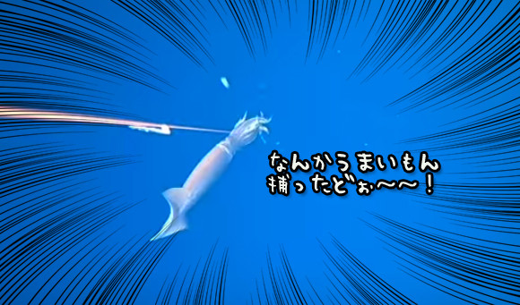 そこにはこんなドラマがあった。深海イカの生態を観察しようと餌を設置したところ・・・