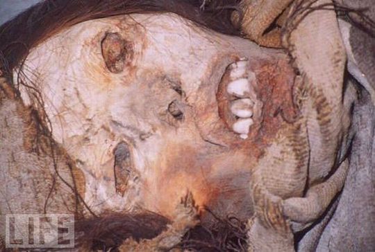 amazing_mummies_23