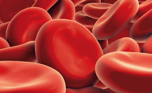 あらゆる血液型をO型に変え輸血を可能にする『万能血液』の実現が近づく（カナダ研究）