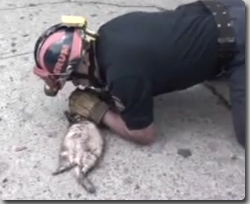 メキシコの消防員、マウストゥーマウスでフェレットの命を救い、女性達のスーパーアイドルに