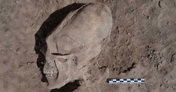 メキシコで発掘されたやたら頭蓋骨の長い人骨