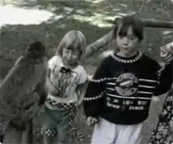 38秒間で29匹のサルの所業を凝縮映像