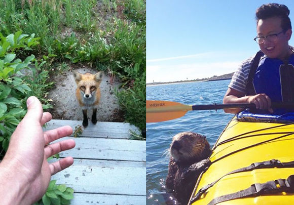 ニンゲン・トモダチ？ニンゲンのペット・仲間？人間の住む家に訪れた野生動物たちの写真