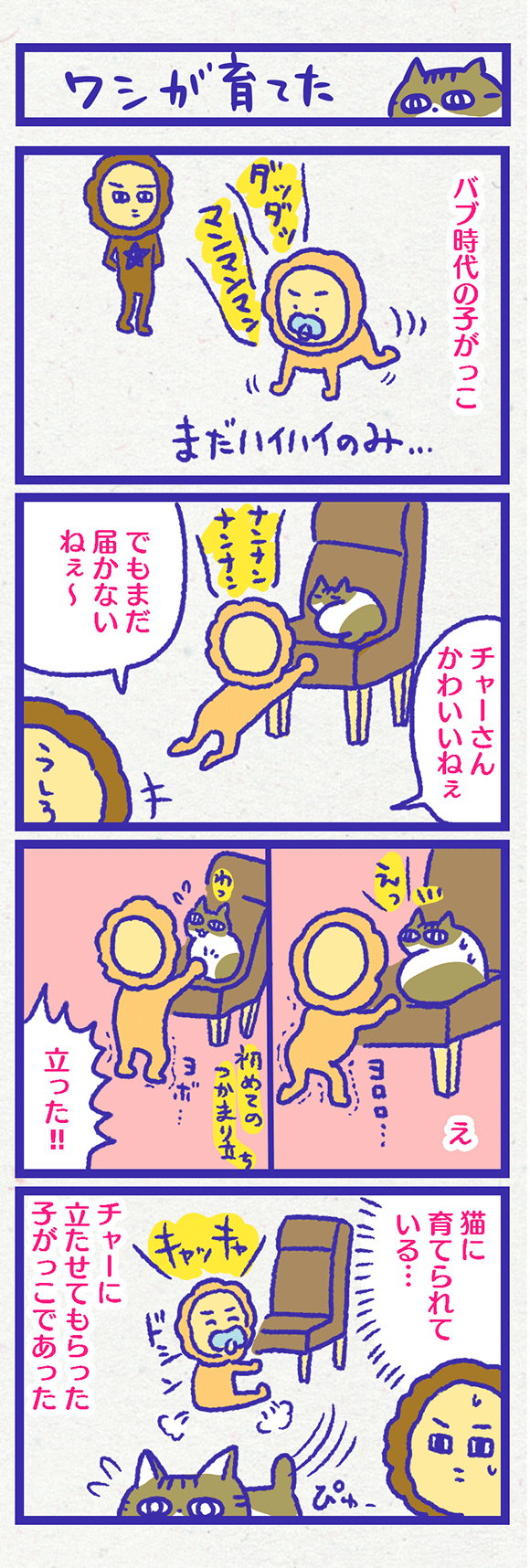 ib3704