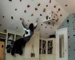 最強の忍者になる為のSASUKEベッドルーム