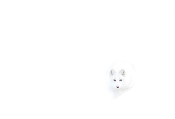 17_e0