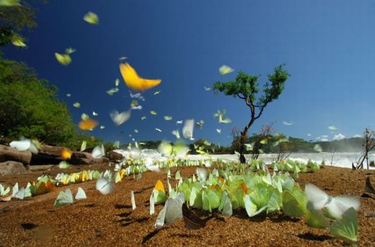 national_geographic_11