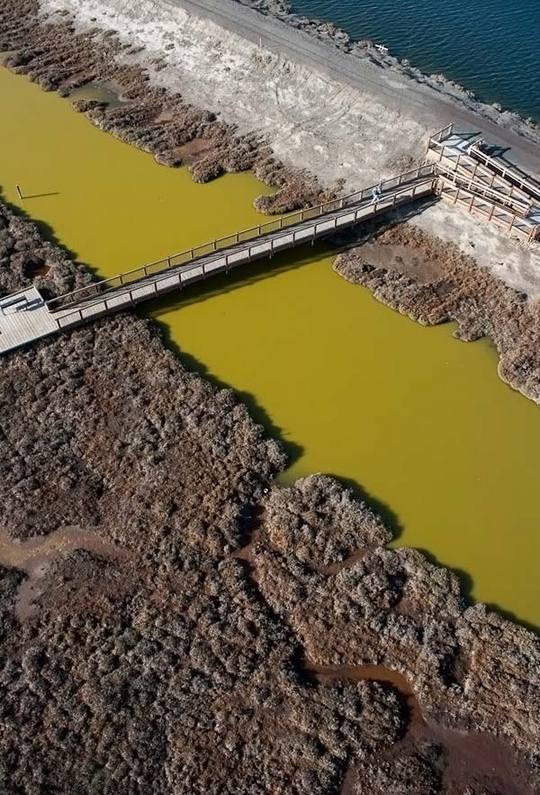 colored-salt-ponds-06