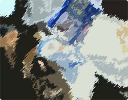 自宅の猫をアフターマン風に紹介してみた「ニャン・アフターニャン～未来の猫類学」