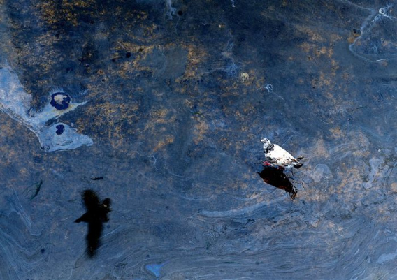 cleaning_dalian_harbor_18