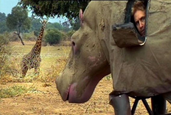 only_in_africa_08