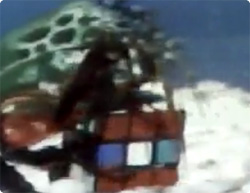 【動画】シャコがルービックキューブを解いただと？