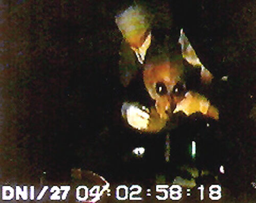 alien-21