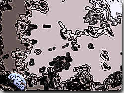 妖怪ケンムン現る！？　砂浜に謎の足跡／鹿児島県奄美市