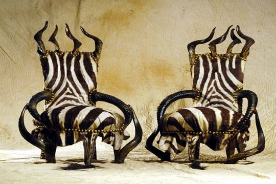 amazing-furniture-animal-35
