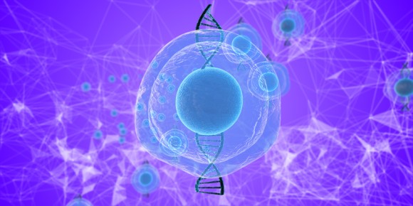 iStock-918349268_e