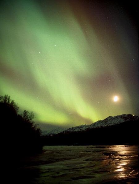 aurora borealis (10)