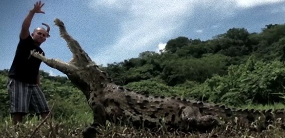 全長5メートル以上のワニに素手で餌を与えるところを見せてくれる親切なガイドさんがいる、コスタリカのタルコレス川ツアー