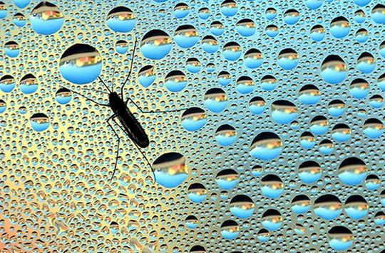 national_geographic_10