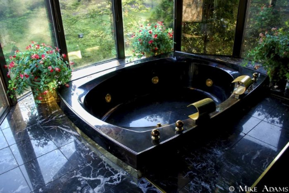 abandoned_mike_tyson_mansion_26