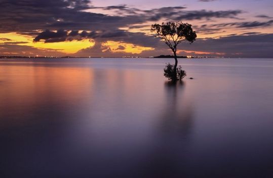 cool_pics007