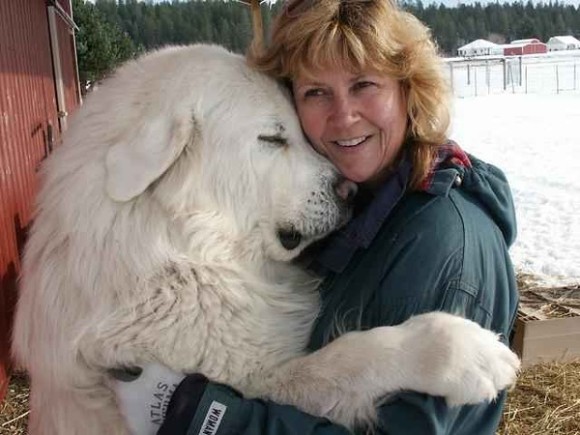 抱かれたい、抱きしめたい。スキンシップで心を通わせる犬と人間のあったかい写真