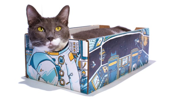 猫は箱が好きだから・・・猫が入ると変身できる「顔出し看板風」ダンボール箱が制作される
