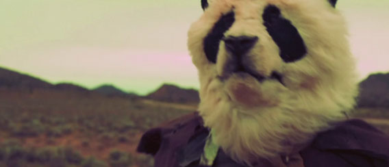 世紀末覇者としてのパンダを描いたショートフィルム「Wastelander Panda」