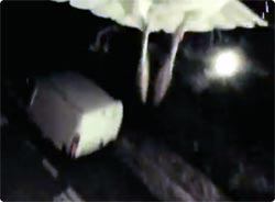 カモメが盗んでいったカメラが撮影したカモメ目線の景色