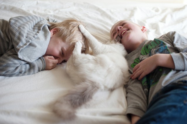 3人の男の子と2匹の猫が綴るやさしい世界