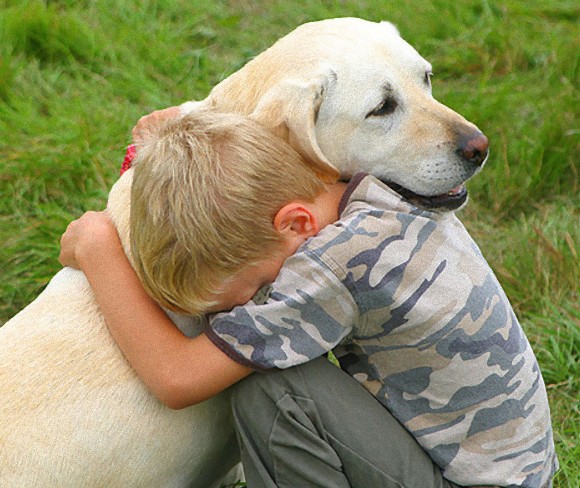 「オキシトシン」が犬と人間の友情を育むことに関与していることが判明（日本研究）