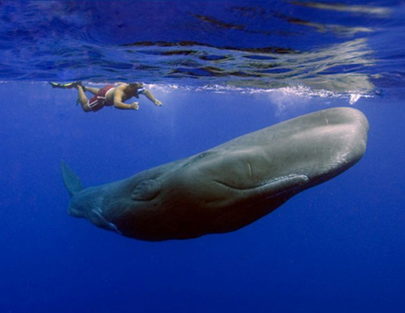 beautiful_award_winning_photos_36