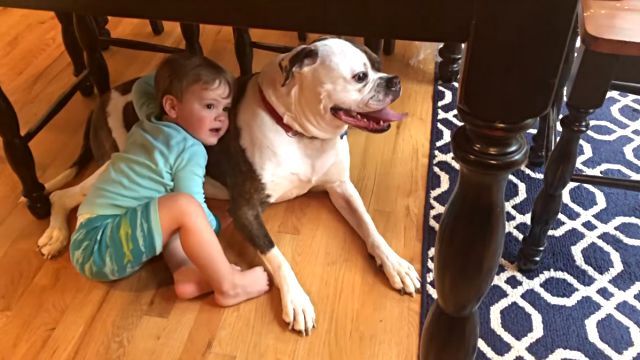 雷雨の中、「雷なんか怖くないよ！大丈夫だよ！」と犬を安心させる男の子