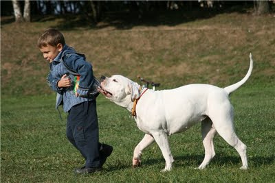kids-and-animals-45