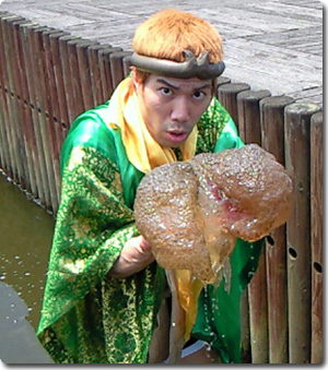 korenokoto?