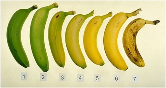 バナナの食べ頃はいつ？健康にもっとも良いバナナの食べ時期を科学的に検証。